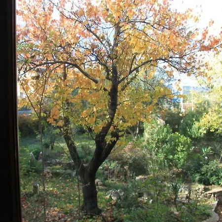 Bed & Breakfast Barone Mamoiada